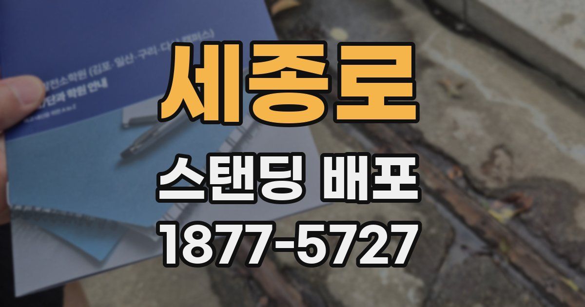 세종로 스탠딩 배포