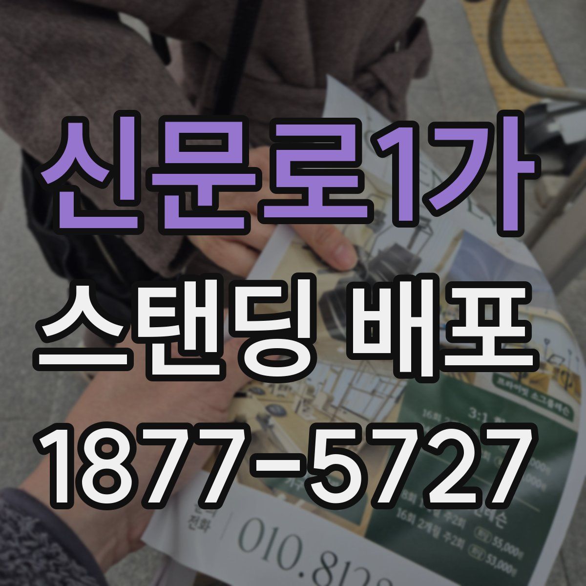 신문로1가 스탠딩 배포