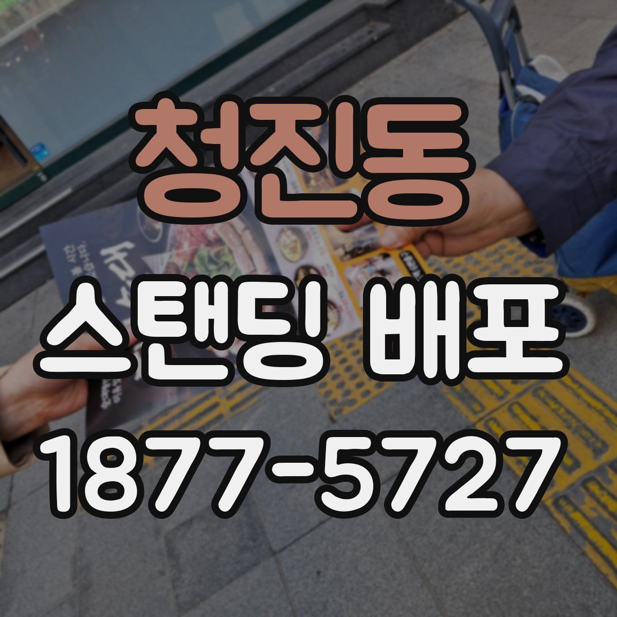 청진동 스탠딩 배포
