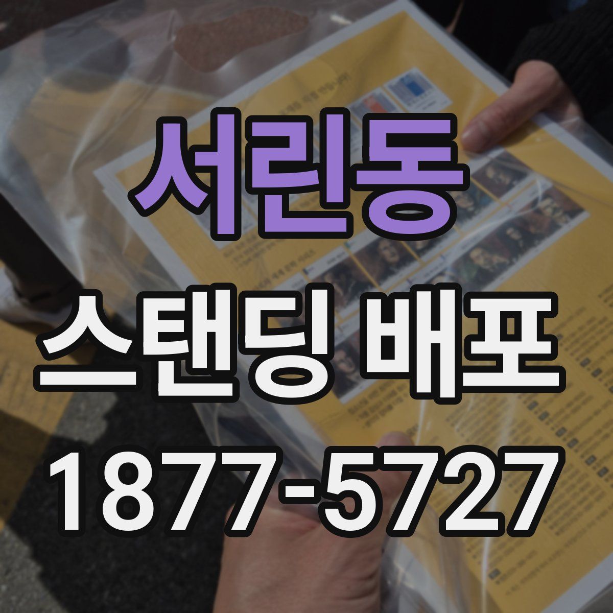 서린동 스탠딩 배포