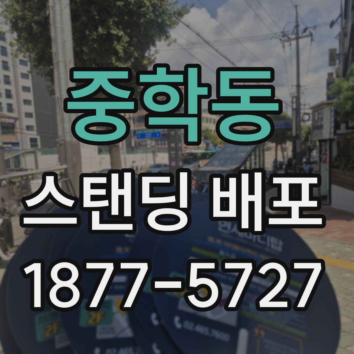 중학동 스탠딩 배포