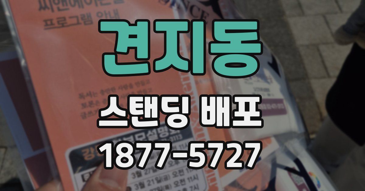 견지동 스탠딩 배포