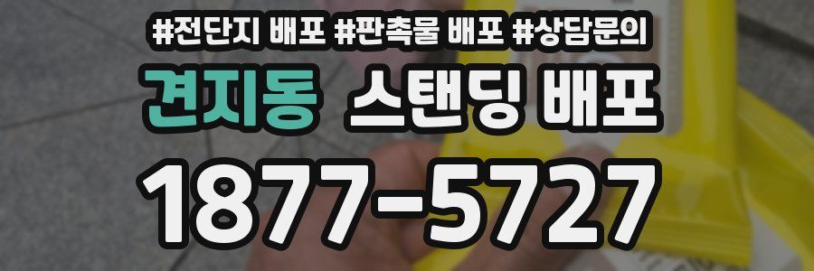 견지동 스탠딩 배포