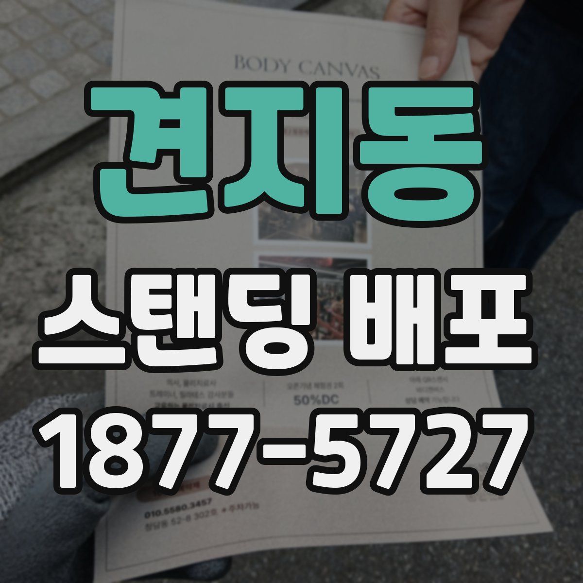 견지동 스탠딩 배포