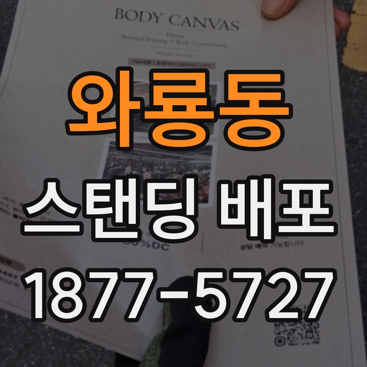 와룡동 스탠딩 배포