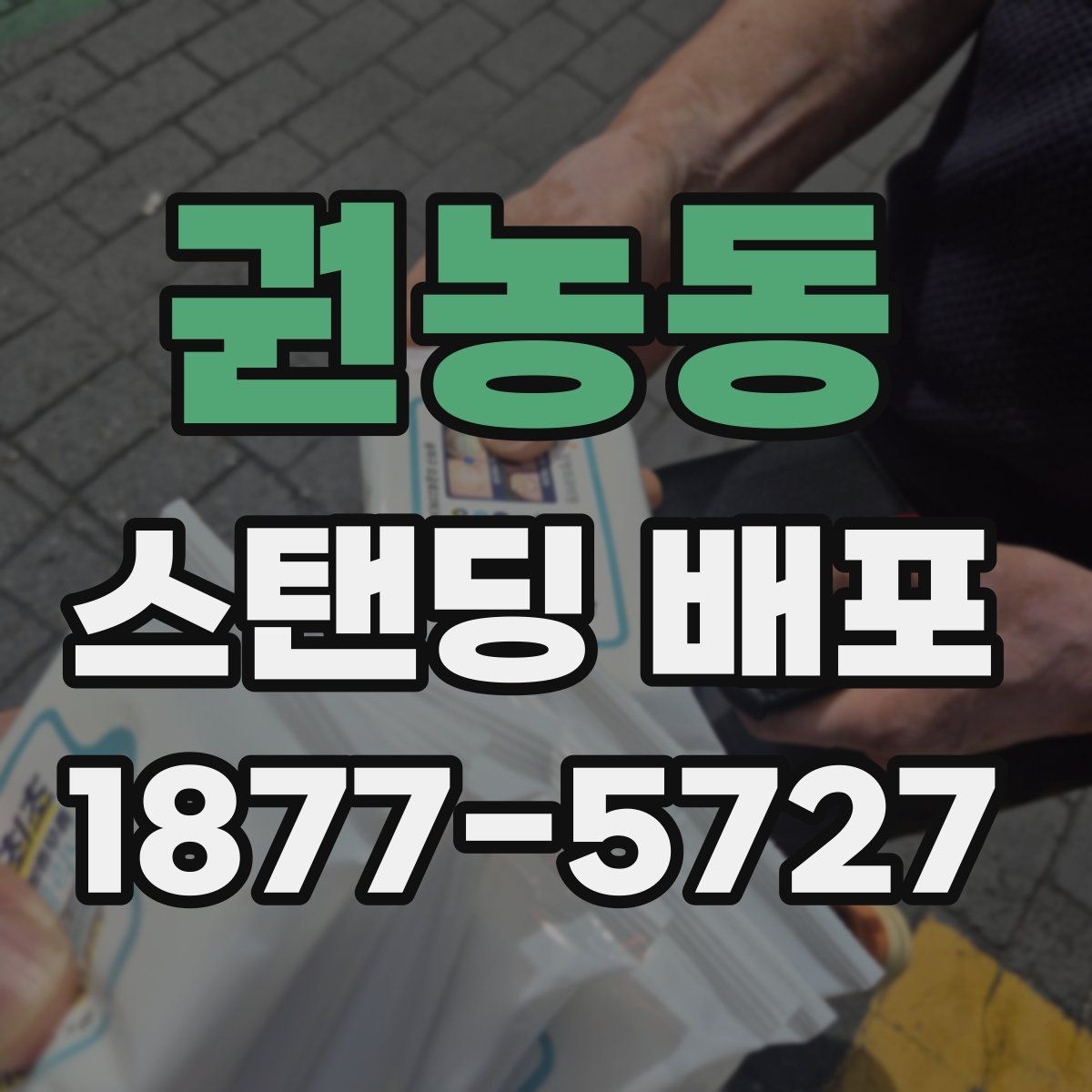 권농동 스탠딩 배포