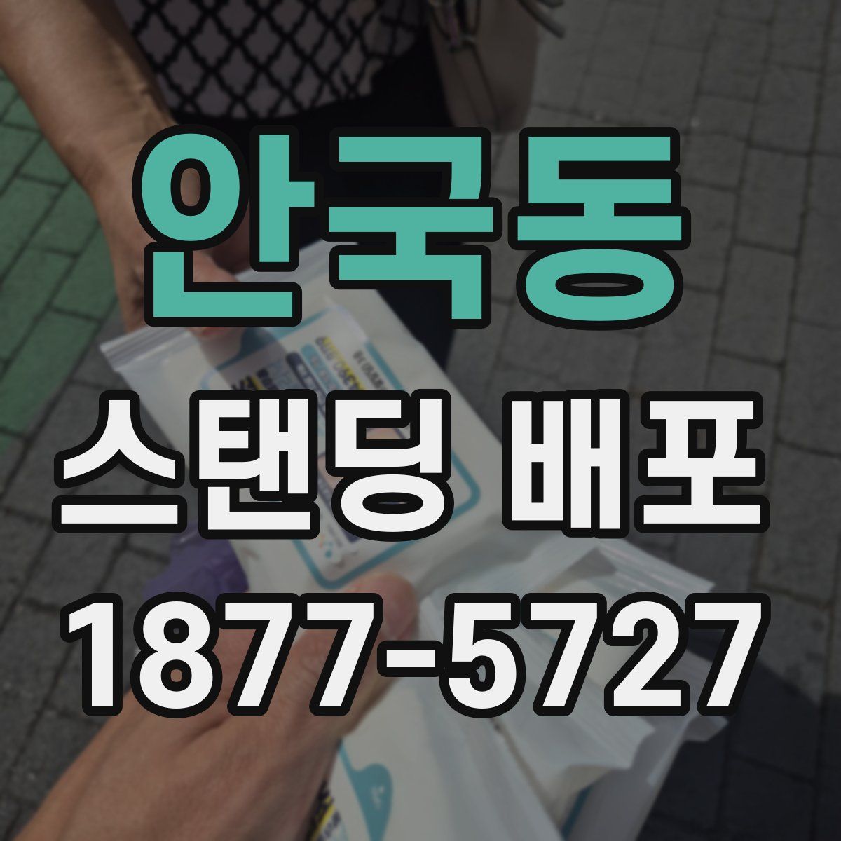 안국동 스탠딩 배포