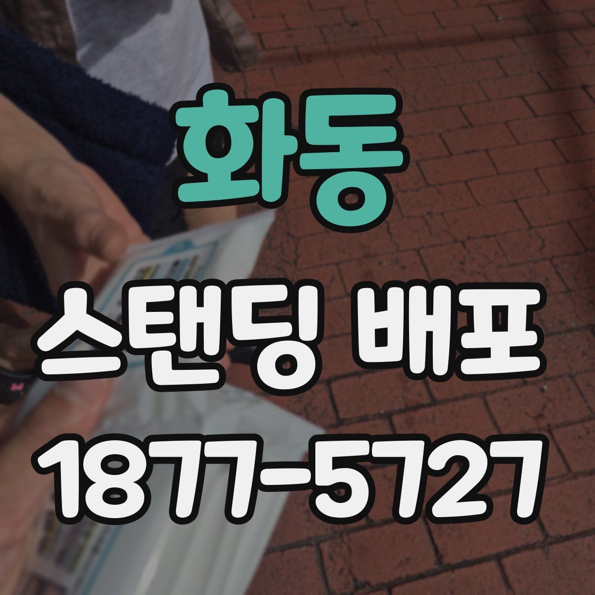 화동 스탠딩 배포