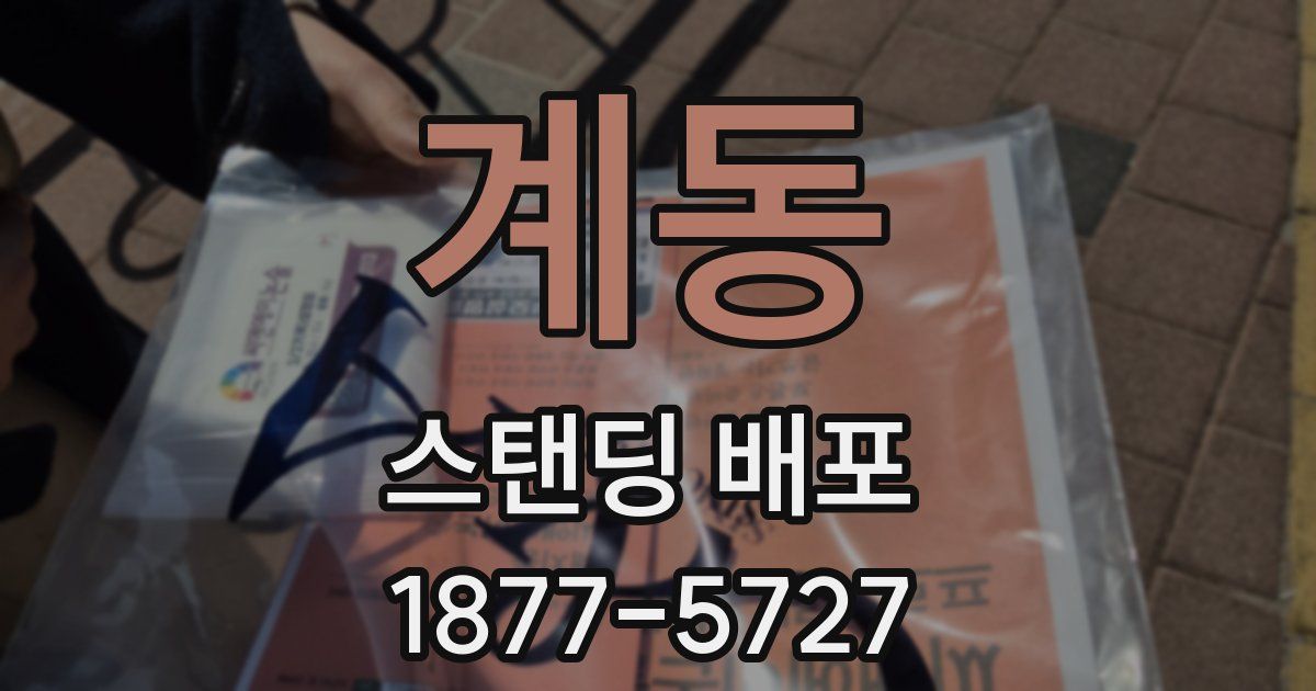 계동 스탠딩 배포