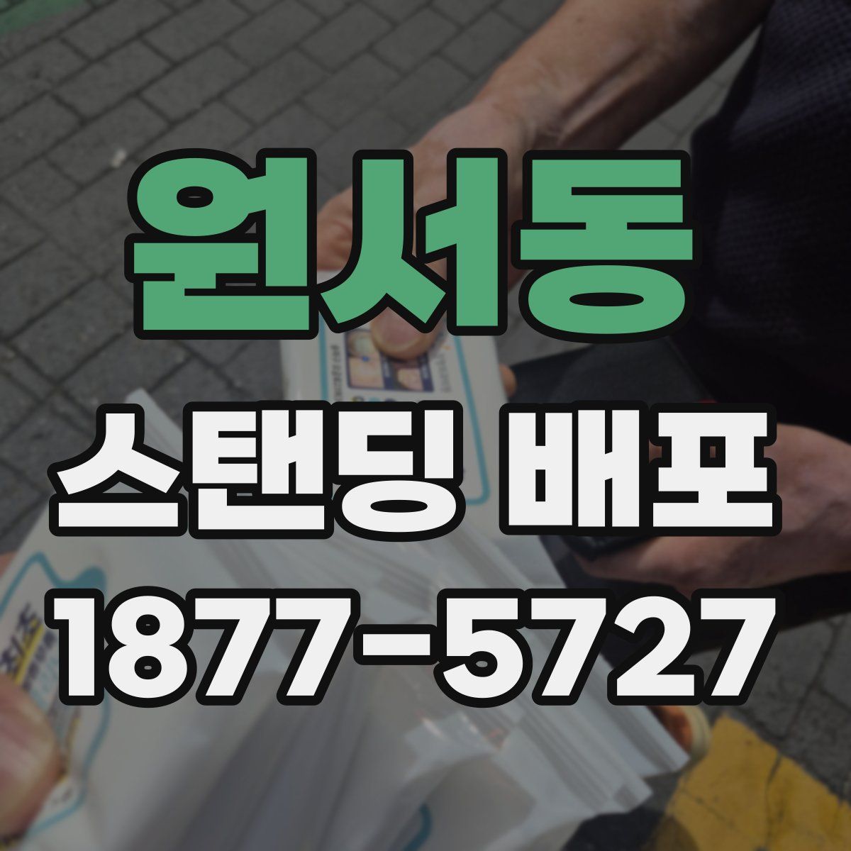 원서동 스탠딩 배포