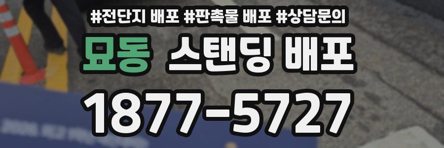 묘동 스탠딩 배포
