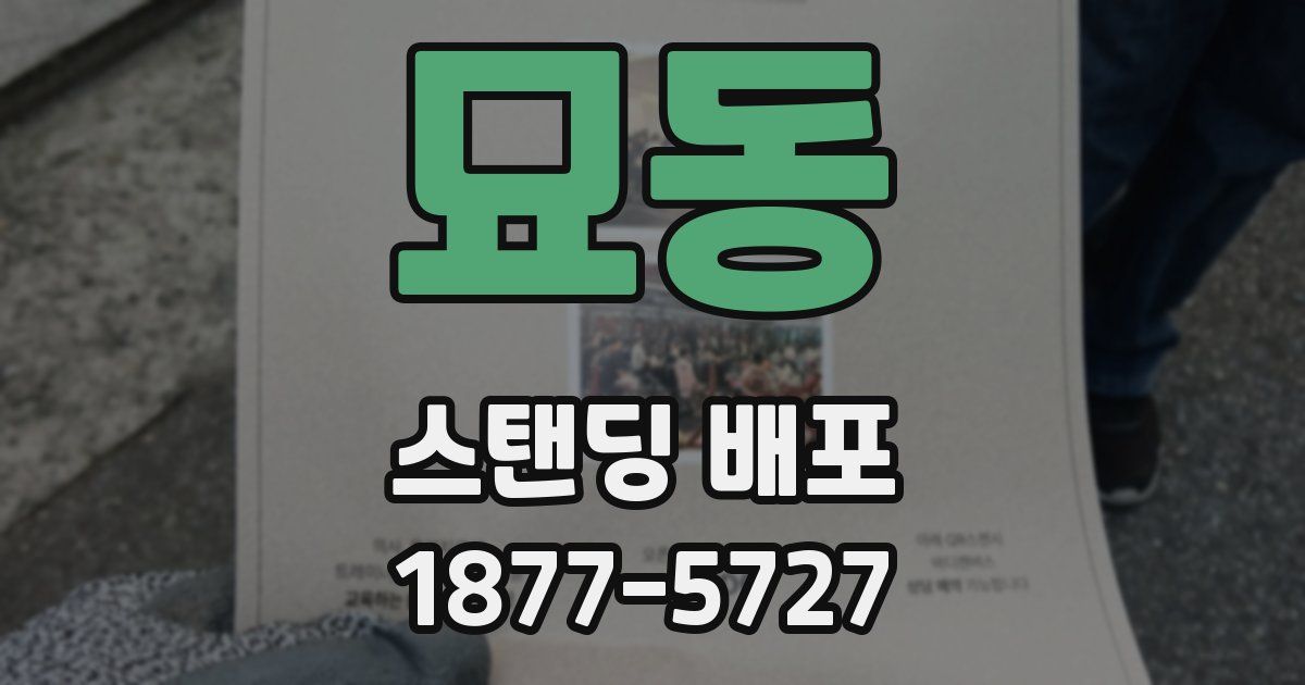 묘동 스탠딩 배포