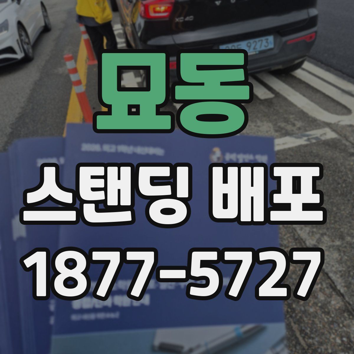 묘동 스탠딩 배포