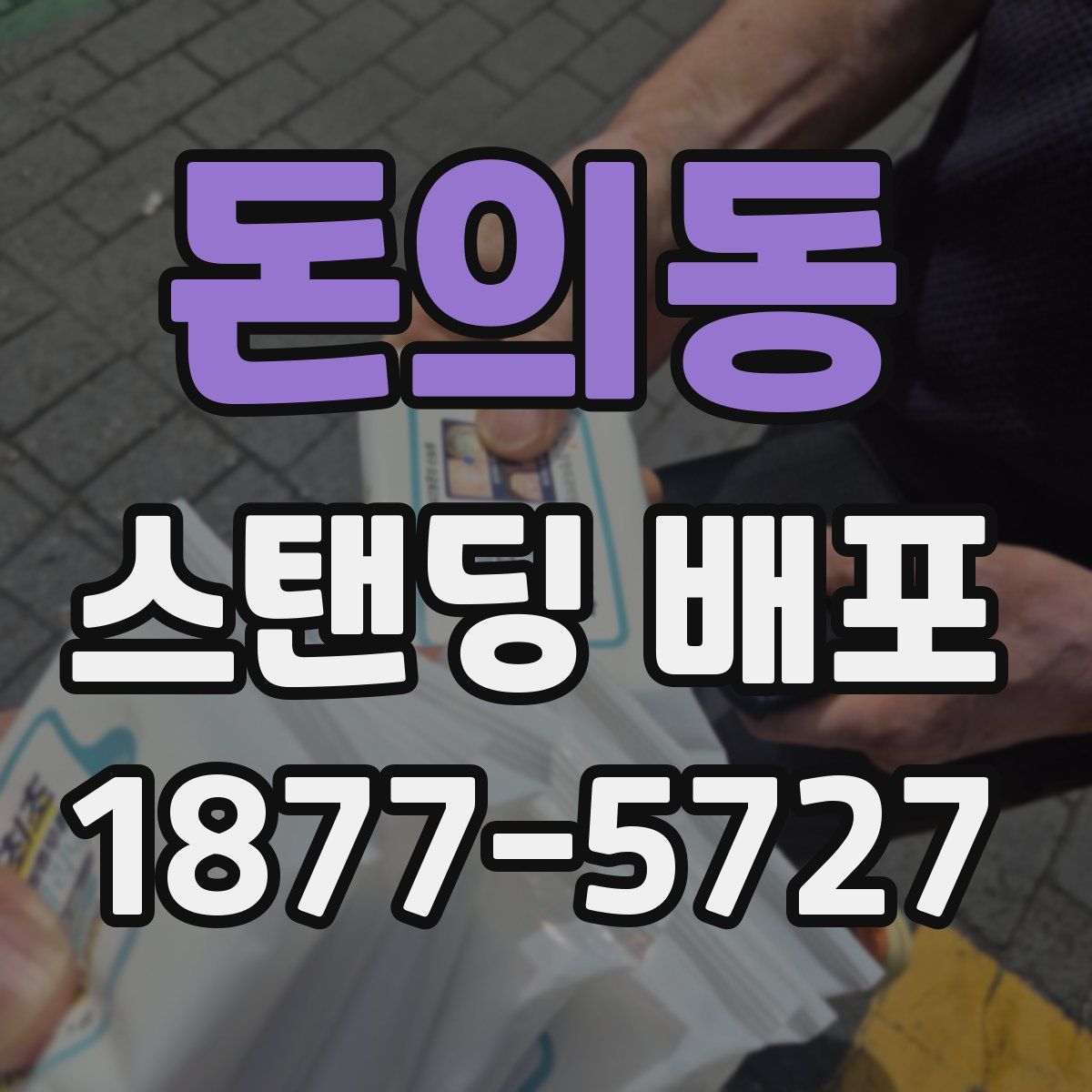 돈의동 스탠딩 배포