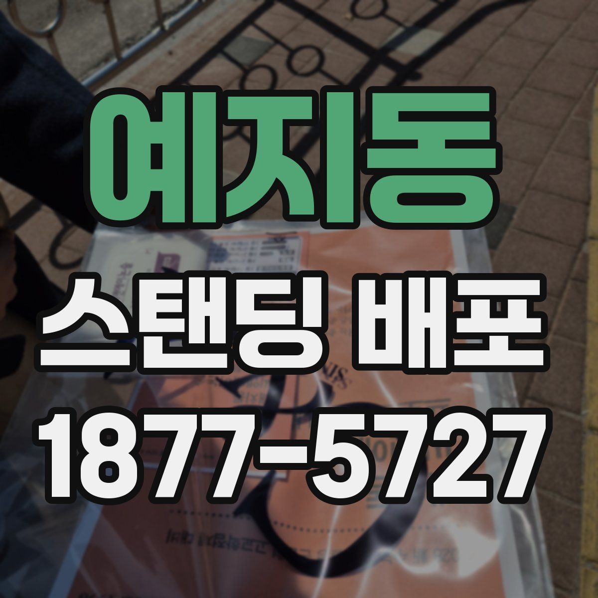 예지동 스탠딩 배포