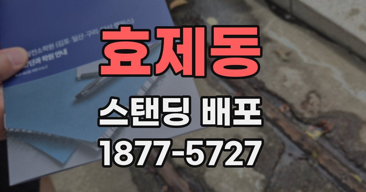 효제동 스탠딩 배포