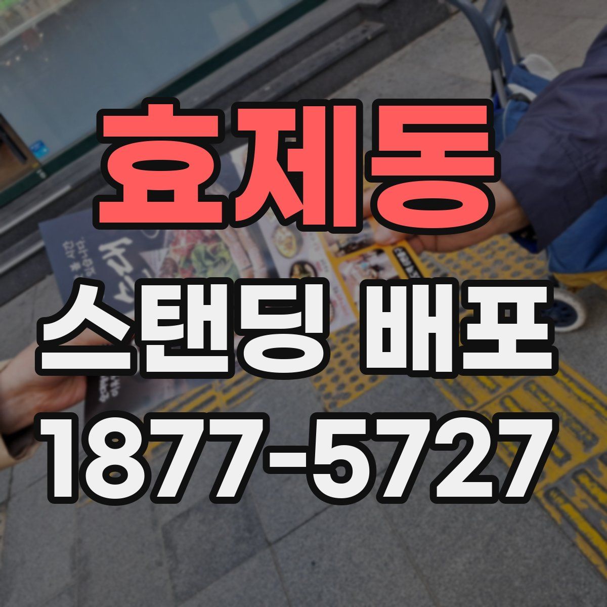 효제동 스탠딩 배포
