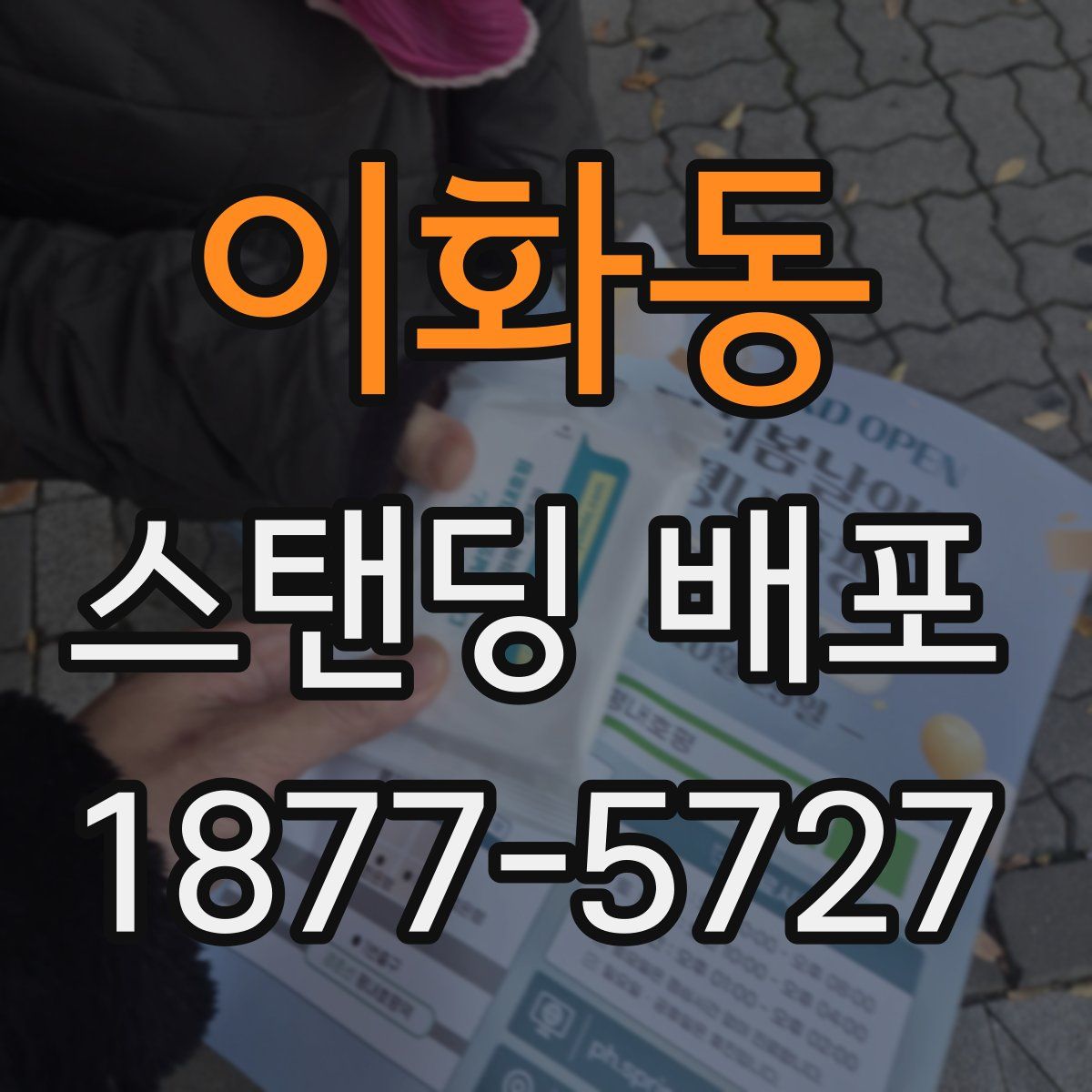 이화동 스탠딩 배포