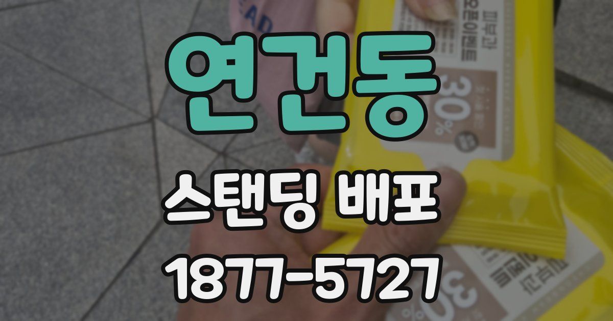 연건동 스탠딩 배포