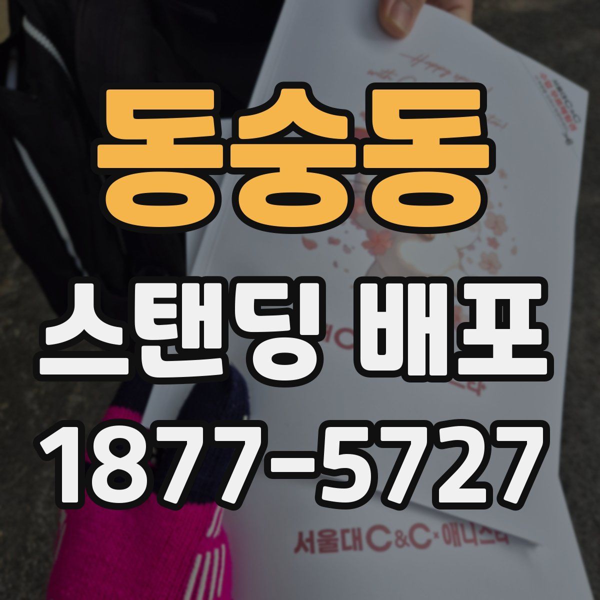 동숭동 스탠딩 배포