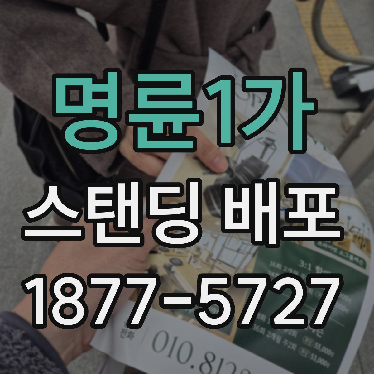 명륜1가 스탠딩 배포