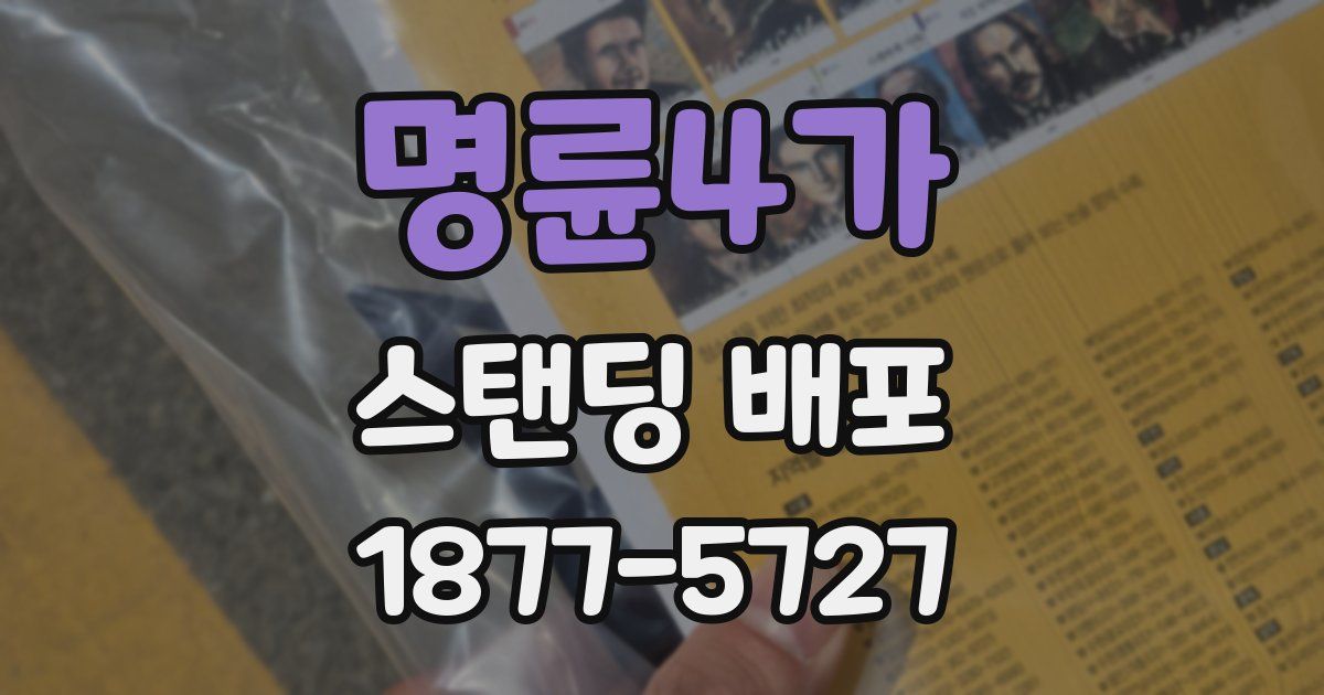 명륜4가 스탠딩 배포