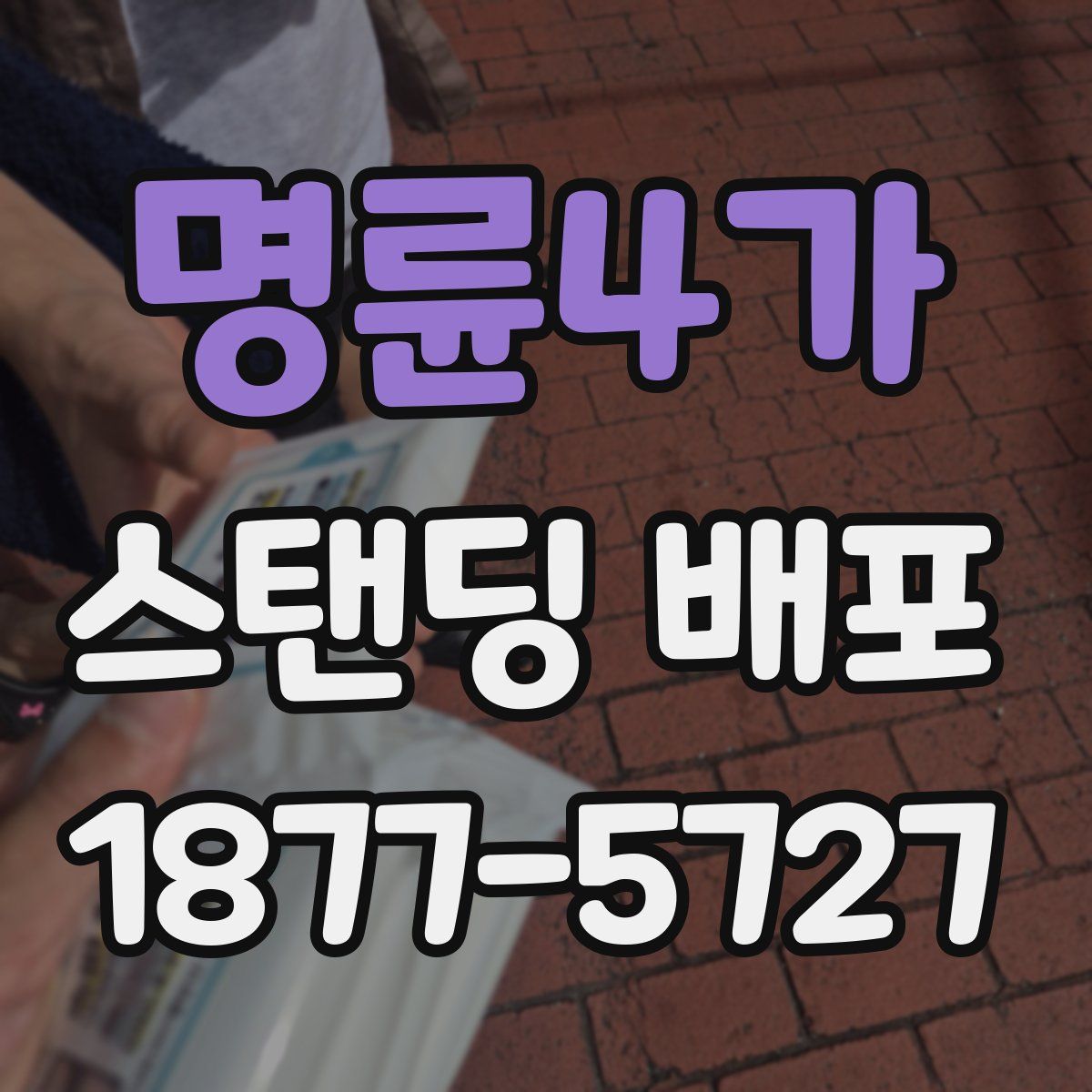 명륜4가 스탠딩 배포