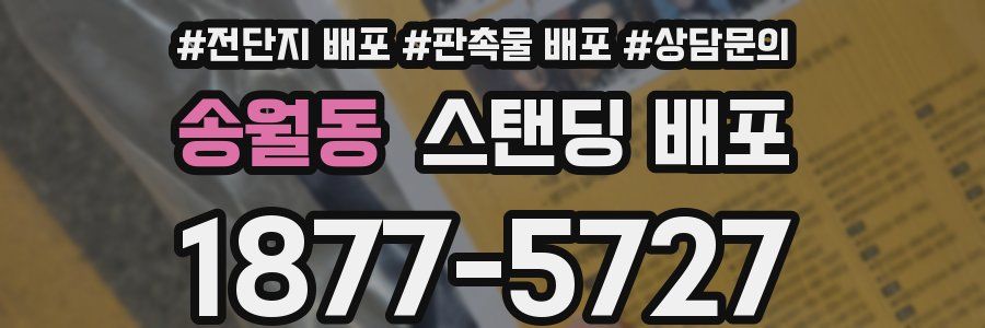 송월동 스탠딩 배포