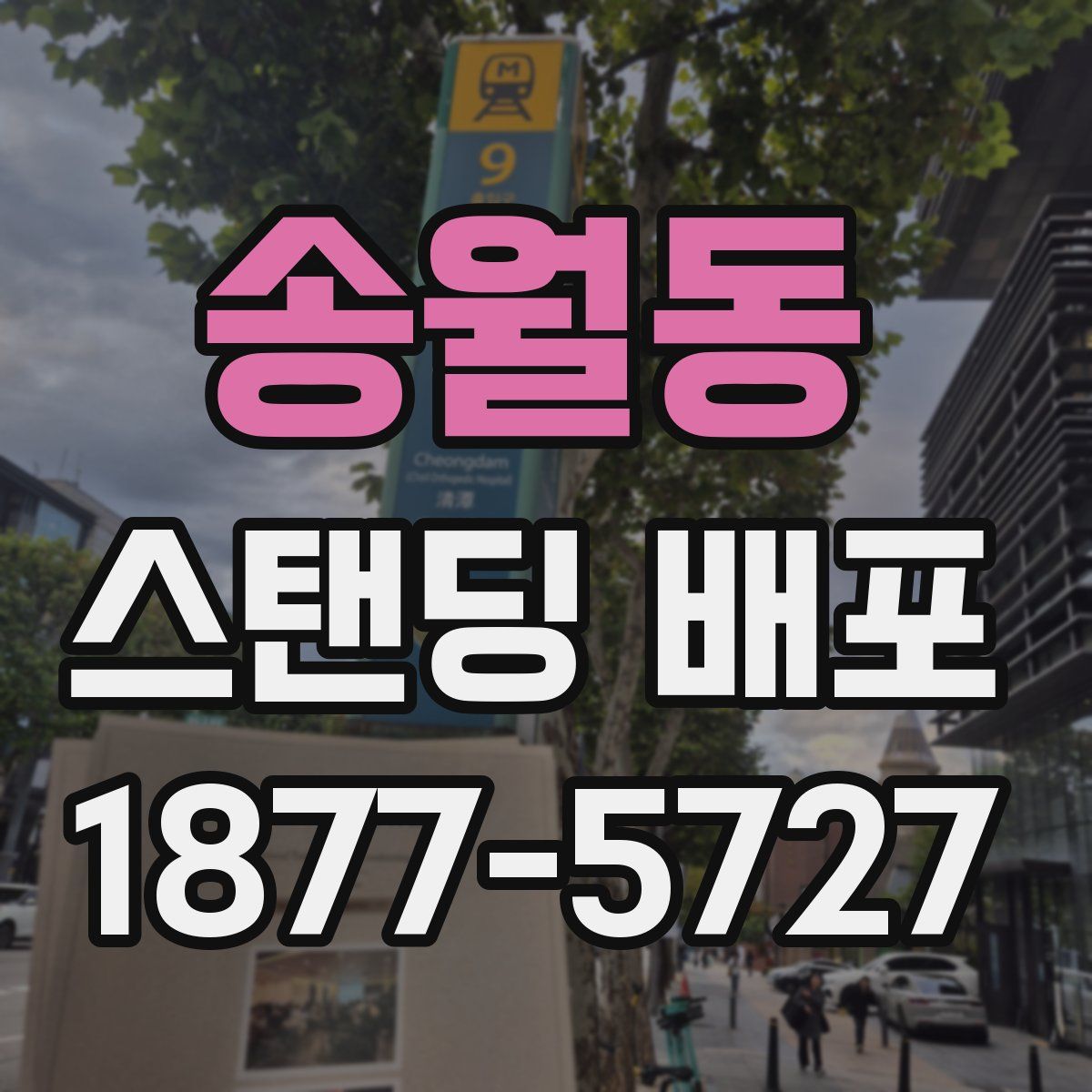 송월동 스탠딩 배포
