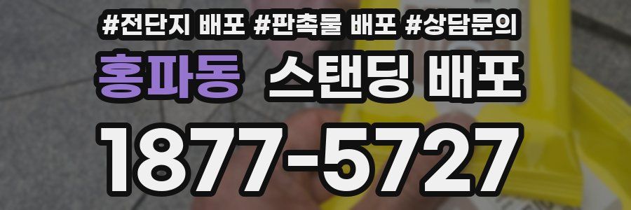 홍파동 스탠딩 배포
