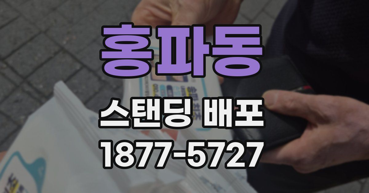 홍파동 스탠딩 배포