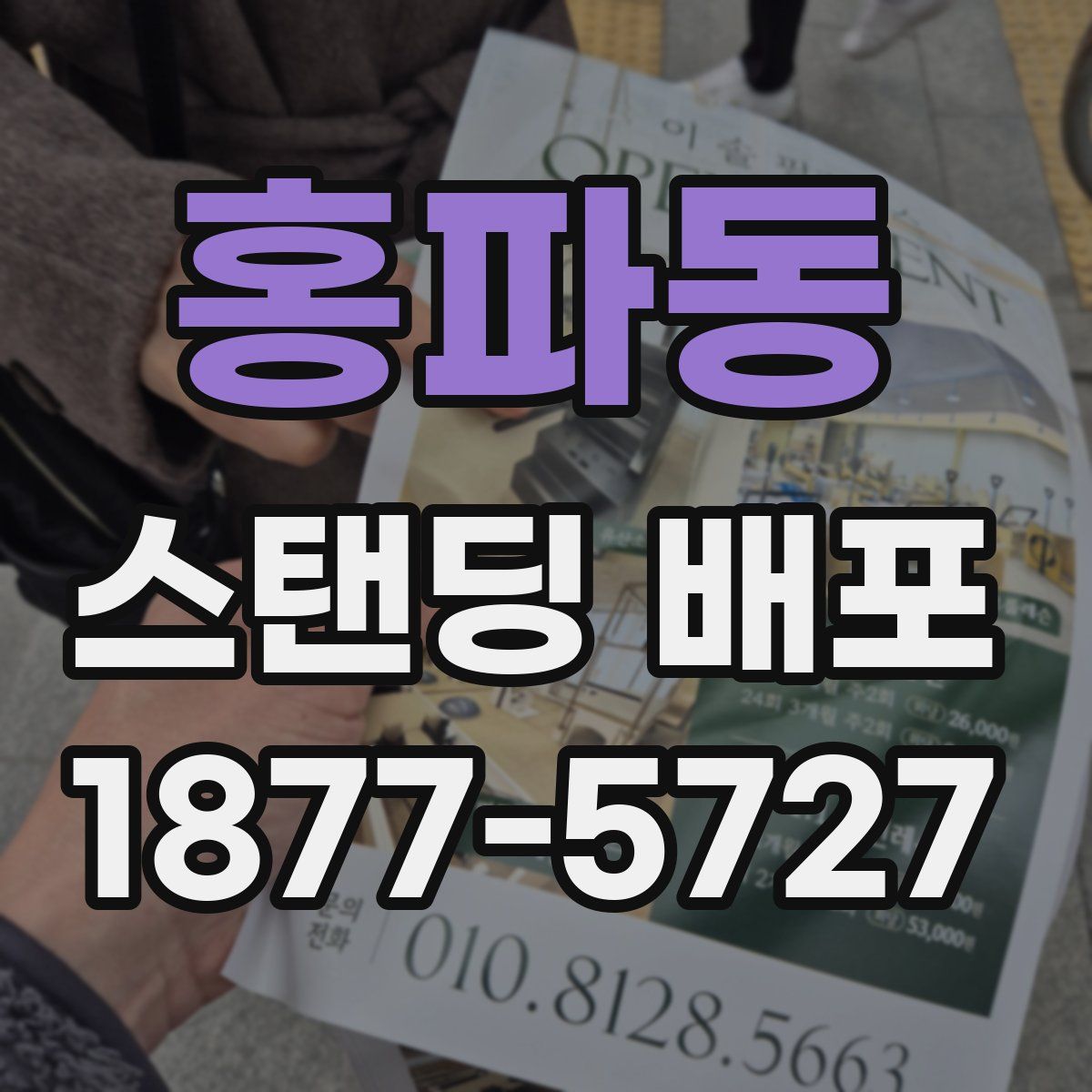 홍파동 스탠딩 배포