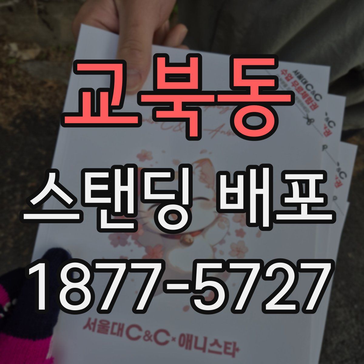 교북동 스탠딩 배포