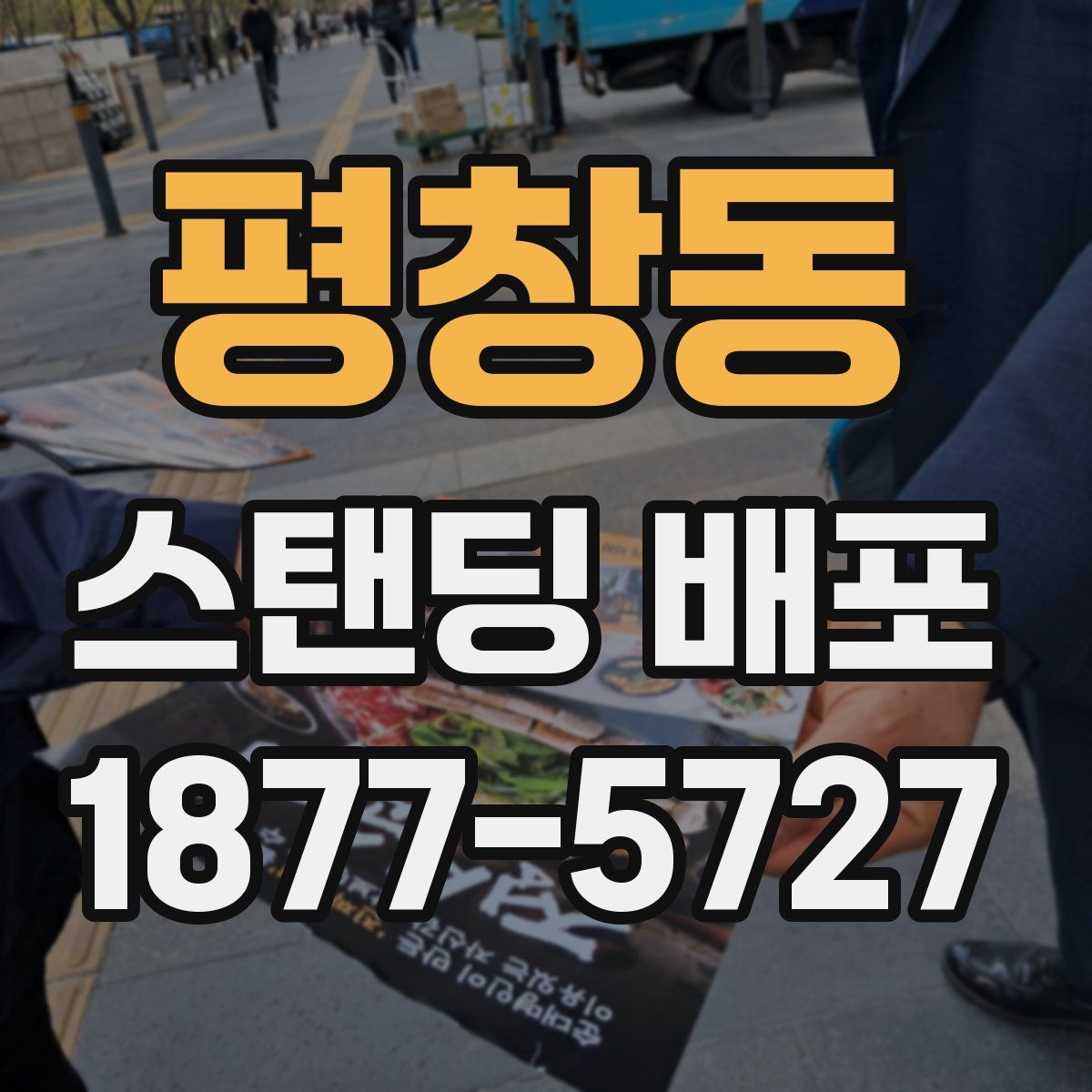 평창동 스탠딩 배포