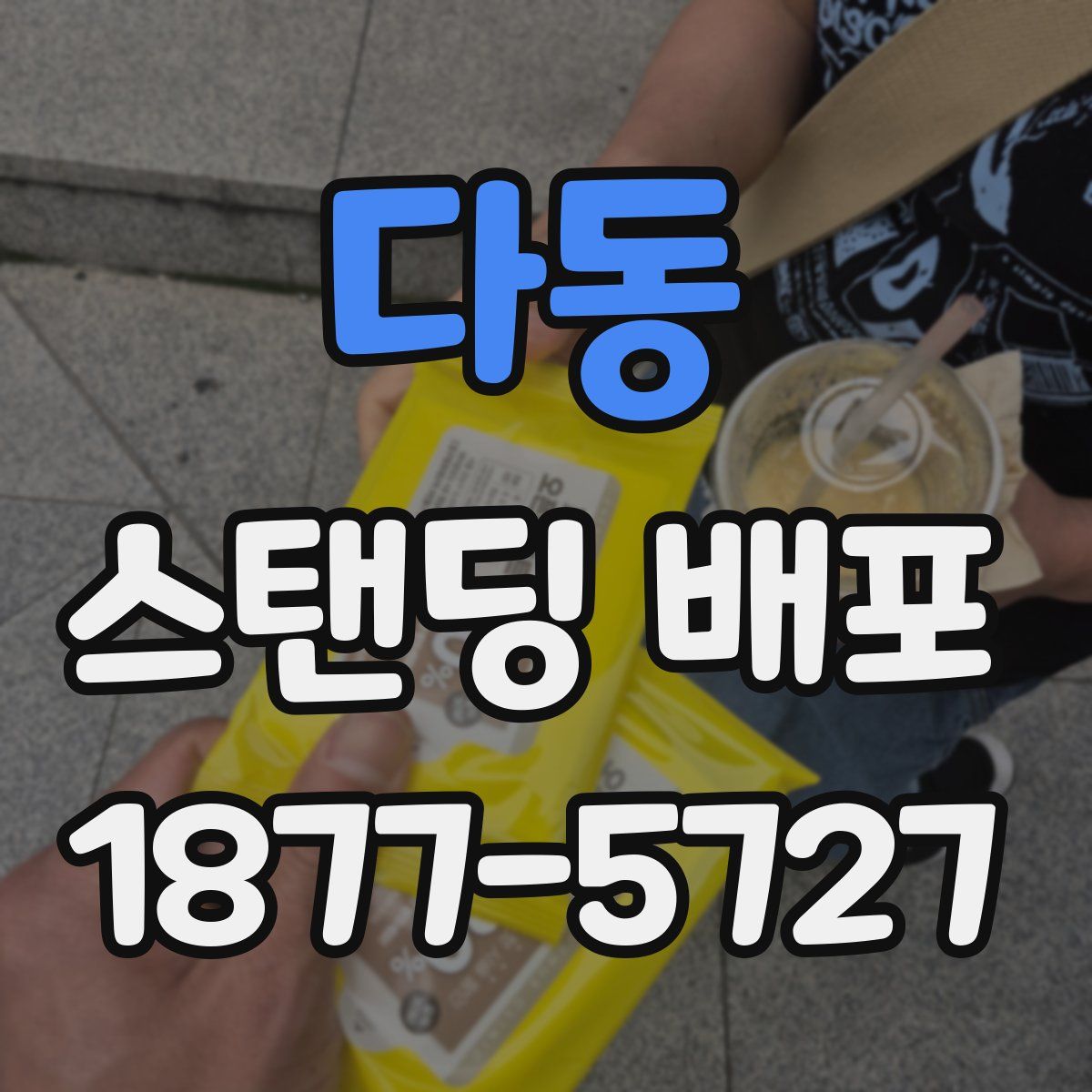 다동 스탠딩 배포