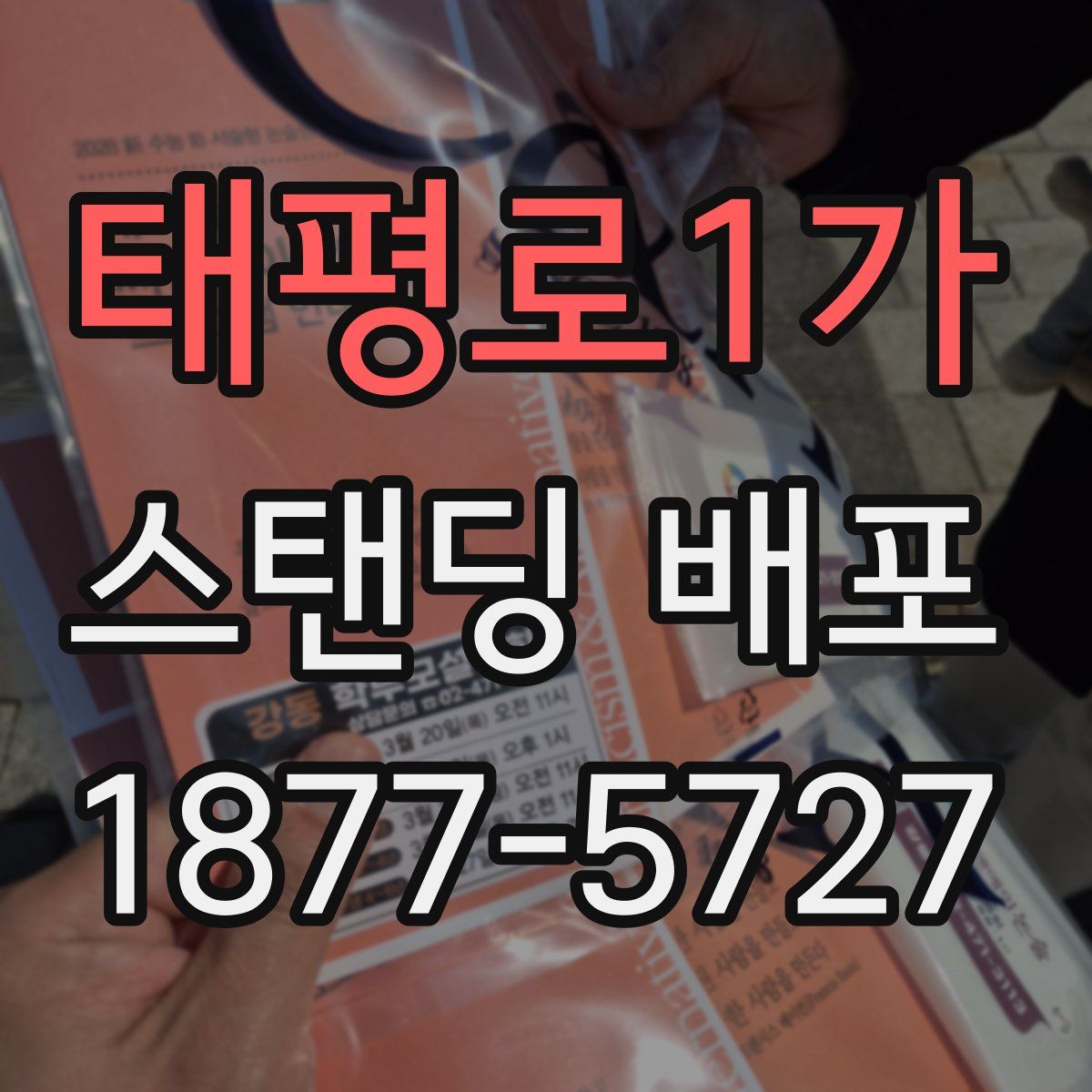 태평로1가 스탠딩 배포