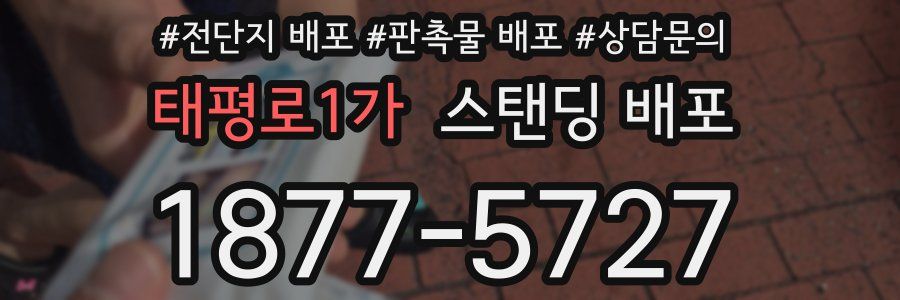 태평로1가 스탠딩 배포