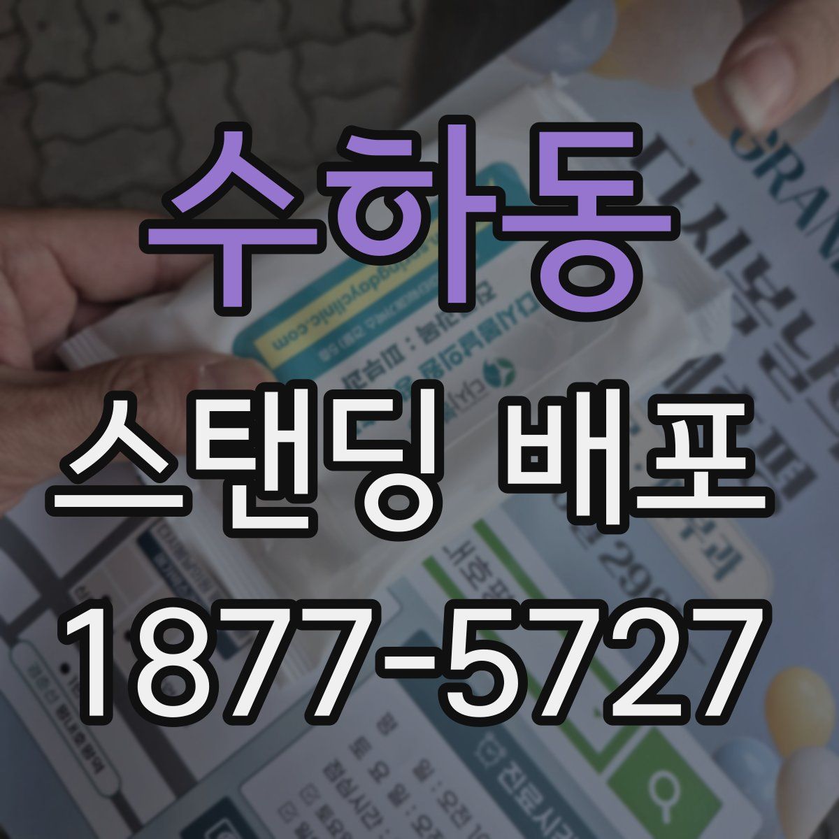 수하동 스탠딩 배포