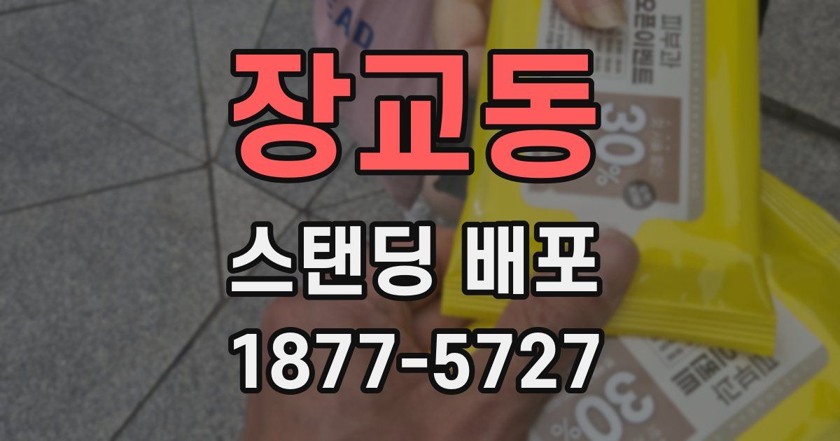 장교동 스탠딩 배포