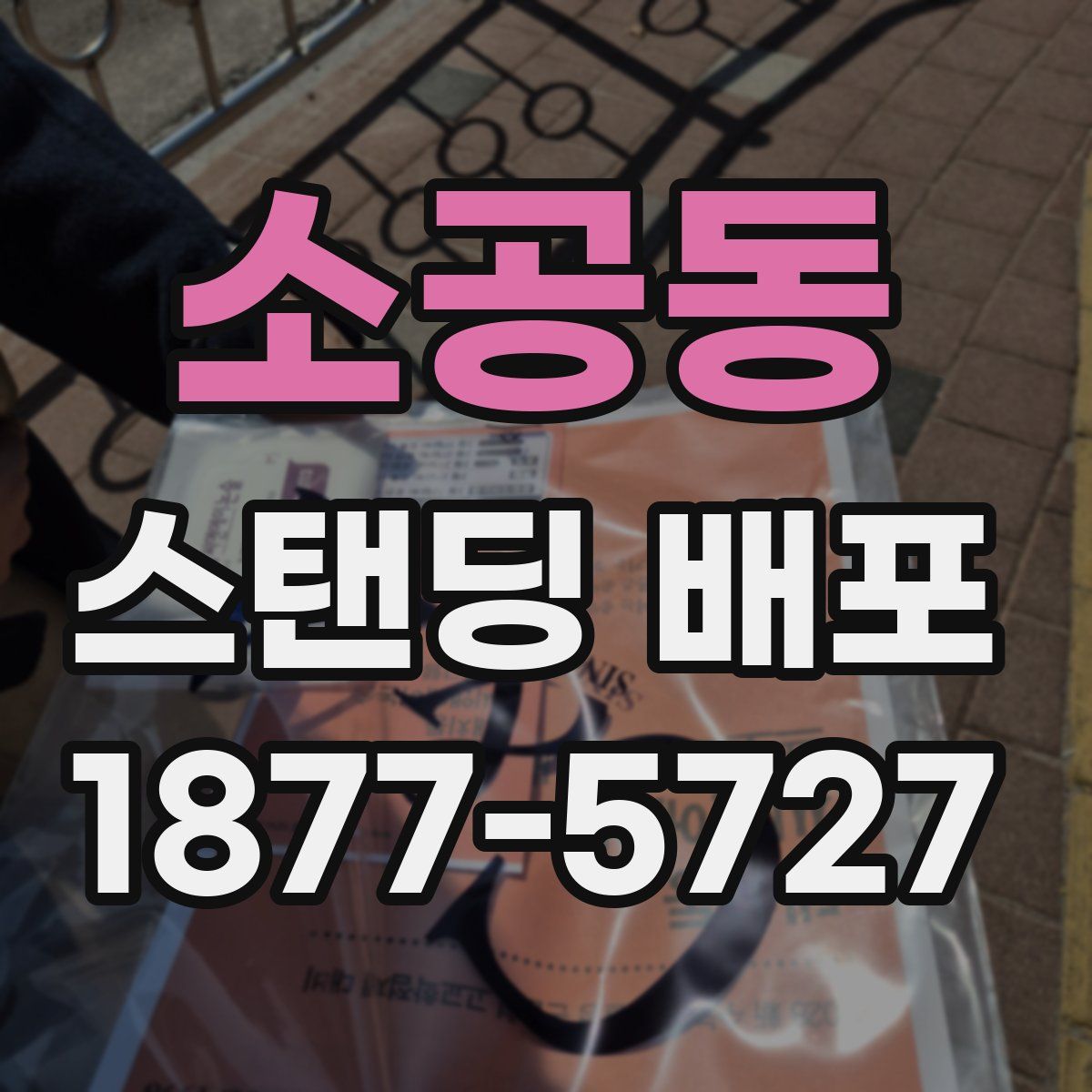 소공동 스탠딩 배포