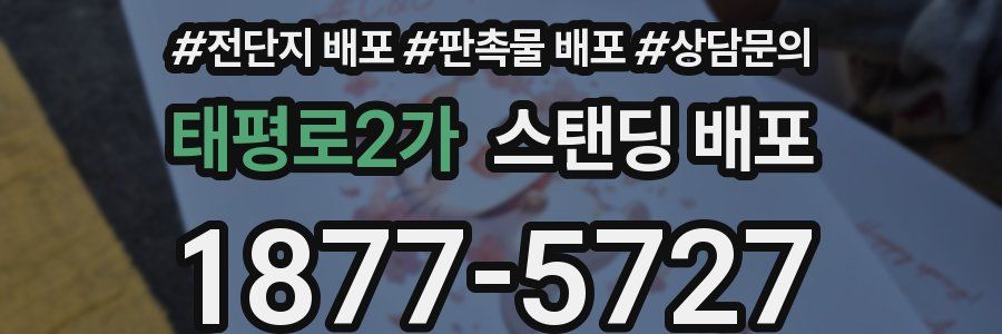 태평로2가 스탠딩 배포