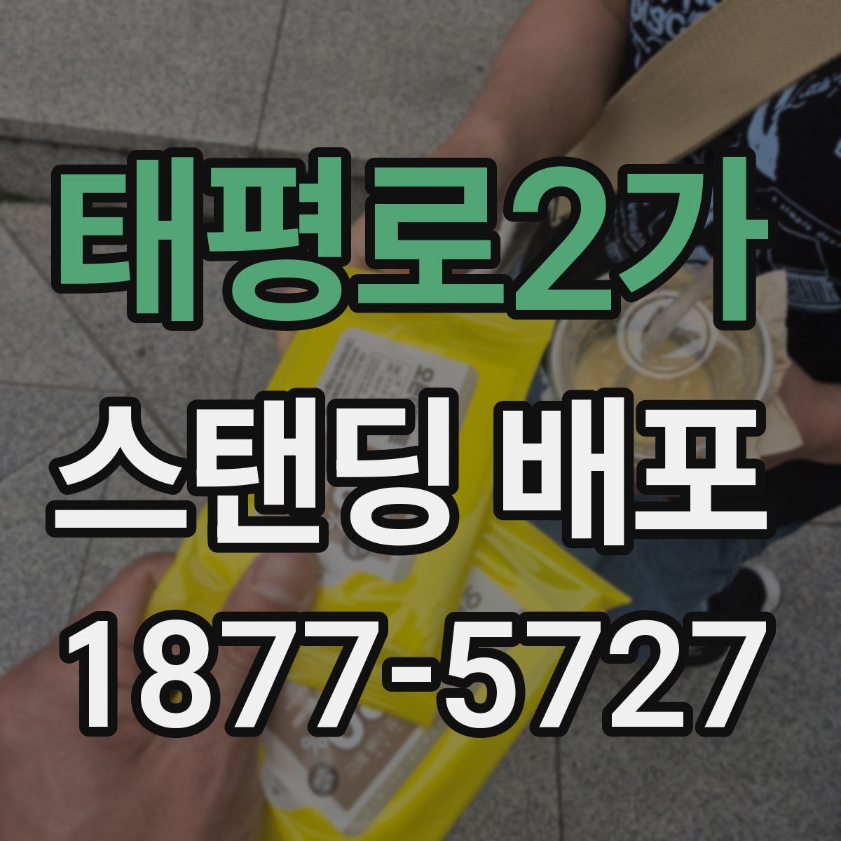 태평로2가 스탠딩 배포