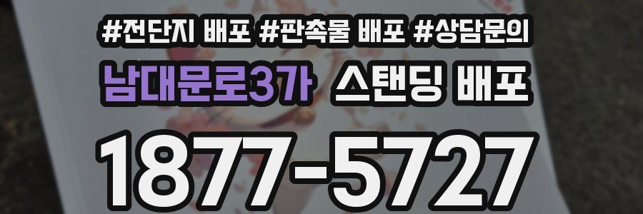 남대문로3가 스탠딩 배포