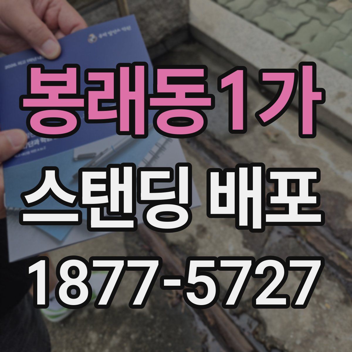 봉래동1가 스탠딩 배포