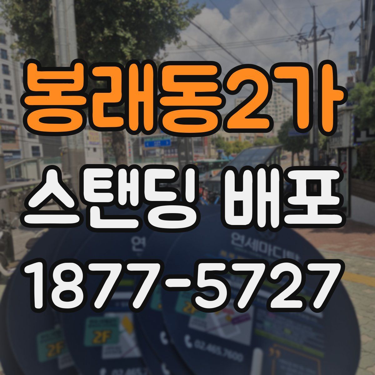 봉래동2가 스탠딩 배포