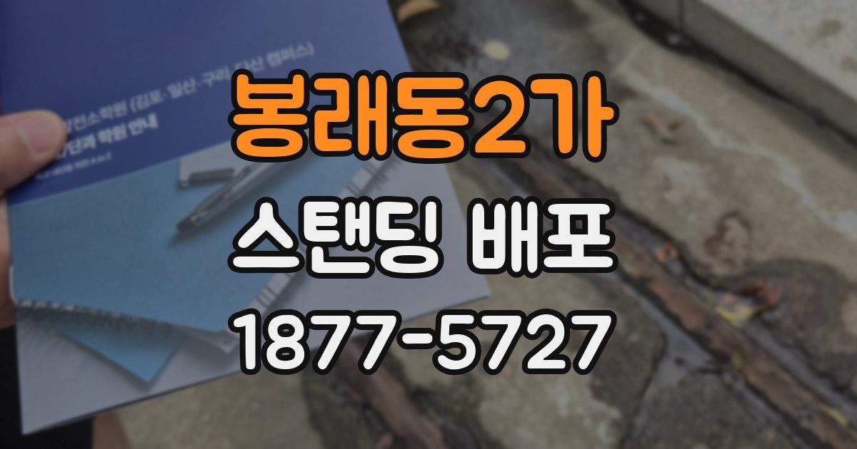 봉래동2가 스탠딩 배포