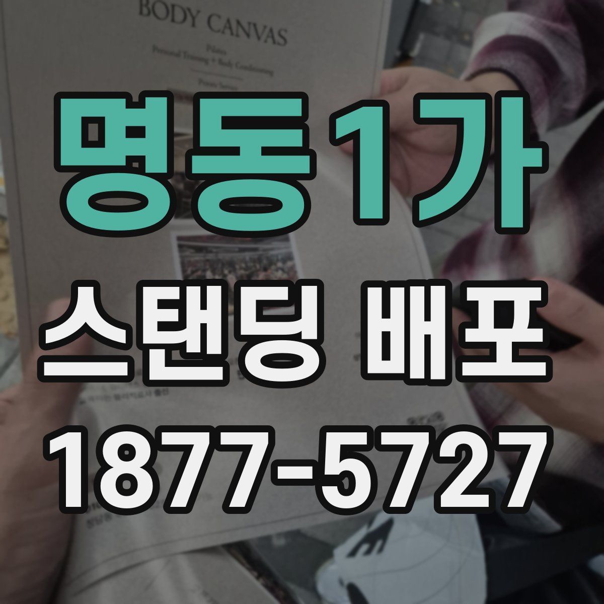명동1가 스탠딩 배포