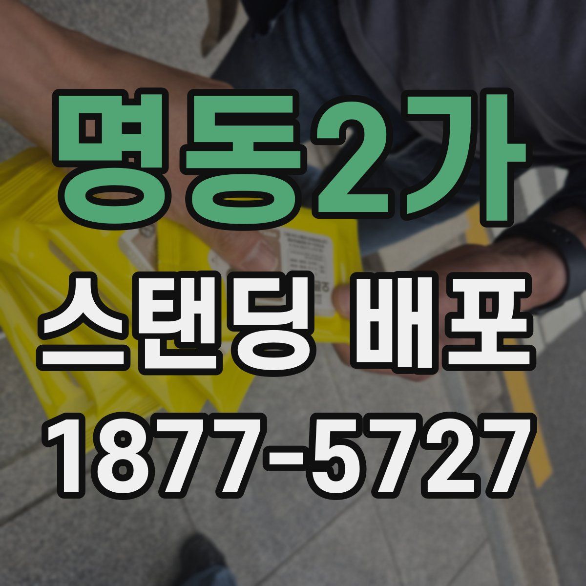명동2가 스탠딩 배포
