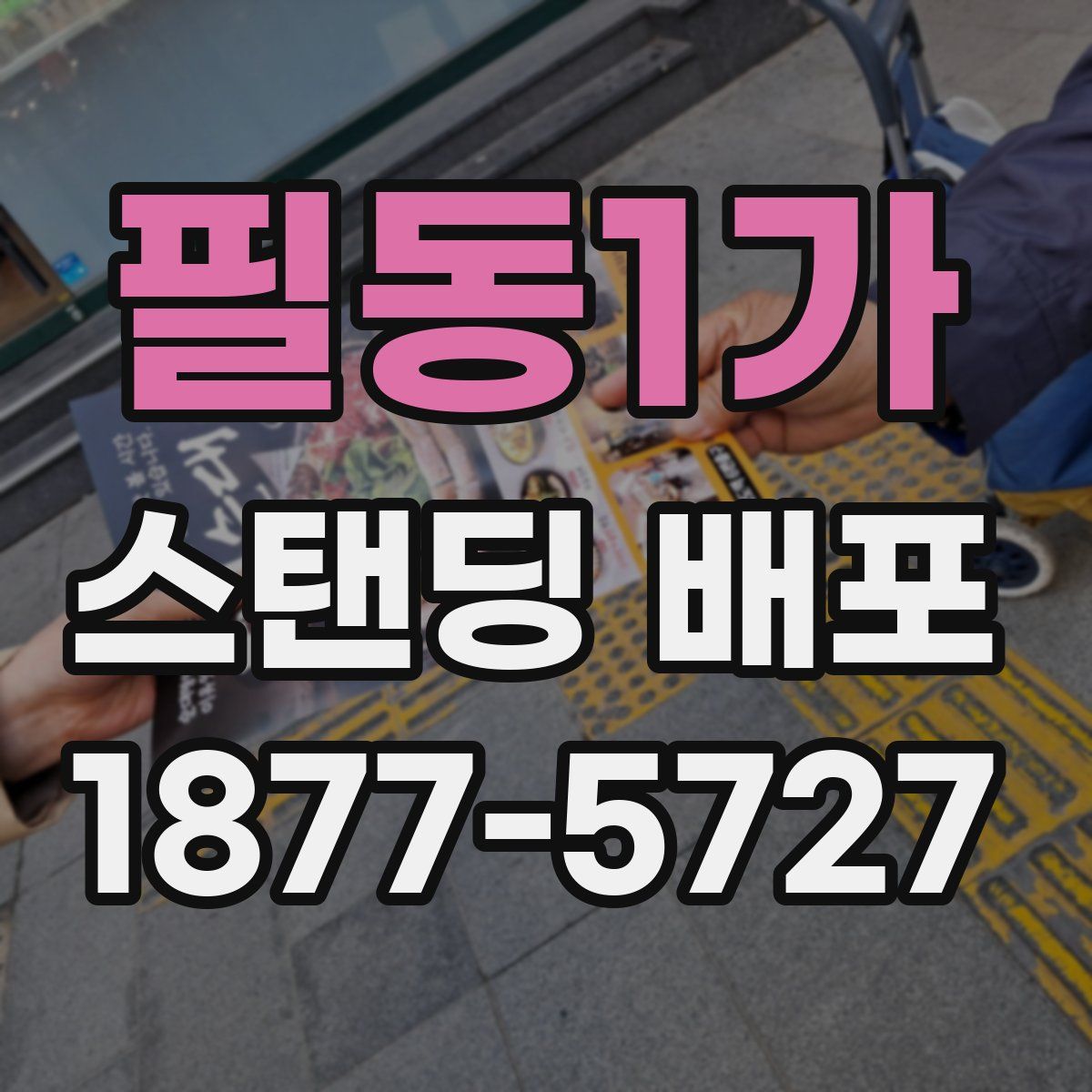 필동1가 스탠딩 배포