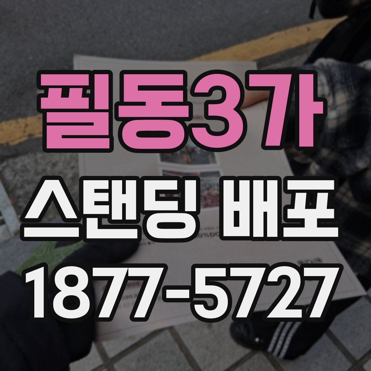 필동3가 스탠딩 배포